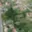 Prodej stavební parcely 1 290 m² Rybnice