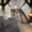 Pronájem bytu 2+kk 65 m² České Budějovice 3, Lipenská