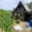Prodej chaty 50 m² Červený Kostelec, Chrby