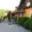 Prodej ostatních rd 320 m² Český Krumlov Nové Spolí