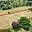 Prodej stavební parcely 2 674 m² Josefov Hřebeny
