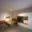 Pronájem bytu 2+kk 36 m² Brno, Jugoslávská