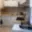 Pronájem bytu 2+1 59 m² Blansko, Jasanová