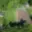 Prodej stavební parcely 663 m² Maršovice