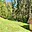 Prodej stavební parcely 3 282 m² Koberovy Chloudov
