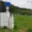 Prodej stavební parcely 1 251 m² Červená Voda