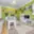 Prodej bytu 4+1 80 m² Klatovy III, Zahradní