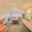 Pronájem obchodu 327 m² Trutnov Poříčí, Polská
