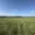 Prodej zemědělské půdy 8 056 m² Rožmitál pod Třemšínem Skuhrov
