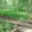 Prodej louky 1 118 m² Votice