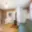 Prodej chalupy 70 m² Jasenná
