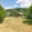 Prodej stavební parcely 1 200 m² Brantice Radim