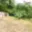 Prodej zahrady 380 m² Hrdlořezy