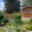 Prodej zahrady 271 m² Mariánské Lázně, Tepelská