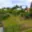 Prodej zahrady 472 m² Tachov