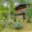 Prodej chaty 381 m² Povrly
