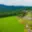 Prodej stavební parcely 1 196 m² Česká Kubice