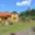 Prodej rodinného domu 80 m² Koberovice