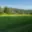 Prodej louky 7 880 m² Kořenov Rejdice