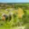 Prodej zahrady 648 m² Zbraslavice