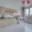 Pronájem bytu 2+1 64 m² Plzeň Východní Předměstí, Úslavská