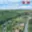 Prodej stavební parcely 1 303 m² Ptení
