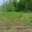 Prodej lesa 9 634 m² Hrazany Klisinec