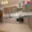 Pronájem bytu 2+1 54 m² České Budějovice 3, Jírovcova