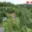 Prodej chaty 32 m² Stražisko