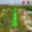 Prodej zahrady 788 m² Nebovidy