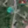 Prodej stavební parcely 890 m² Ostrava Bartovice