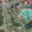 Prodej stavební parcely 1 072 m² Křešice, Pražská