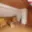 Prodej chalupy 188 m² Deštná, Stránská