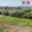 Prodej stavební parcely 995 m² Cítoliby