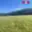 Prodej stavební parcely 4 460 m² Střílky
