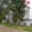 Pronájem bytu 1+1 29 m² Liberec XIV-Ruprechtice, Ostravská