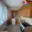 Pronájem bytu 1+1 39 m² Náchod, Příkopy