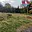 Prodej stavební parcely 502 m² Jiříkov Nový