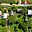 Prodej stavební parcely 801 m² Uherský Brod