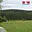 Prodej louky 26 000 m² Vysoká Srbská