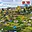 Prodej zahrady 975 m² Tachov
