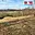 Prodej stavební parcely 1 160 m² Brno Žebětín