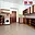 Pronájem bytu 1+kk a garsoniéry 40 m² Švihov, Čsl. legií