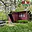 Prodej chaty 25 m² Nebanice