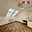 Pronájem bytu 3+1 85 m² Nepomuk, U Sokolovny