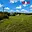 Prodej stavební parcely 1 098 m² Milešov Klenovice