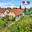 Prodej rodinného domu 64 m² Smilovice Újezdec