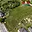 Prodej stavební parcely 1 017 m² Vesce