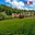 Prodej louky 1 519 m² Sebranice