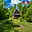 Prodej zahrady 317 m² Liberec XXV-Vesec